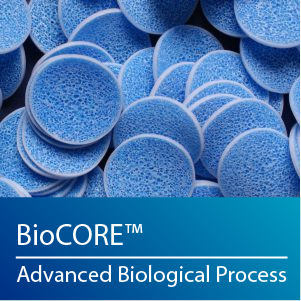 Biological wastewater treatment process