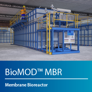 BioMOD MBR